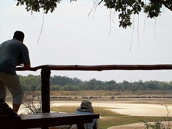 view from the deck.jpg