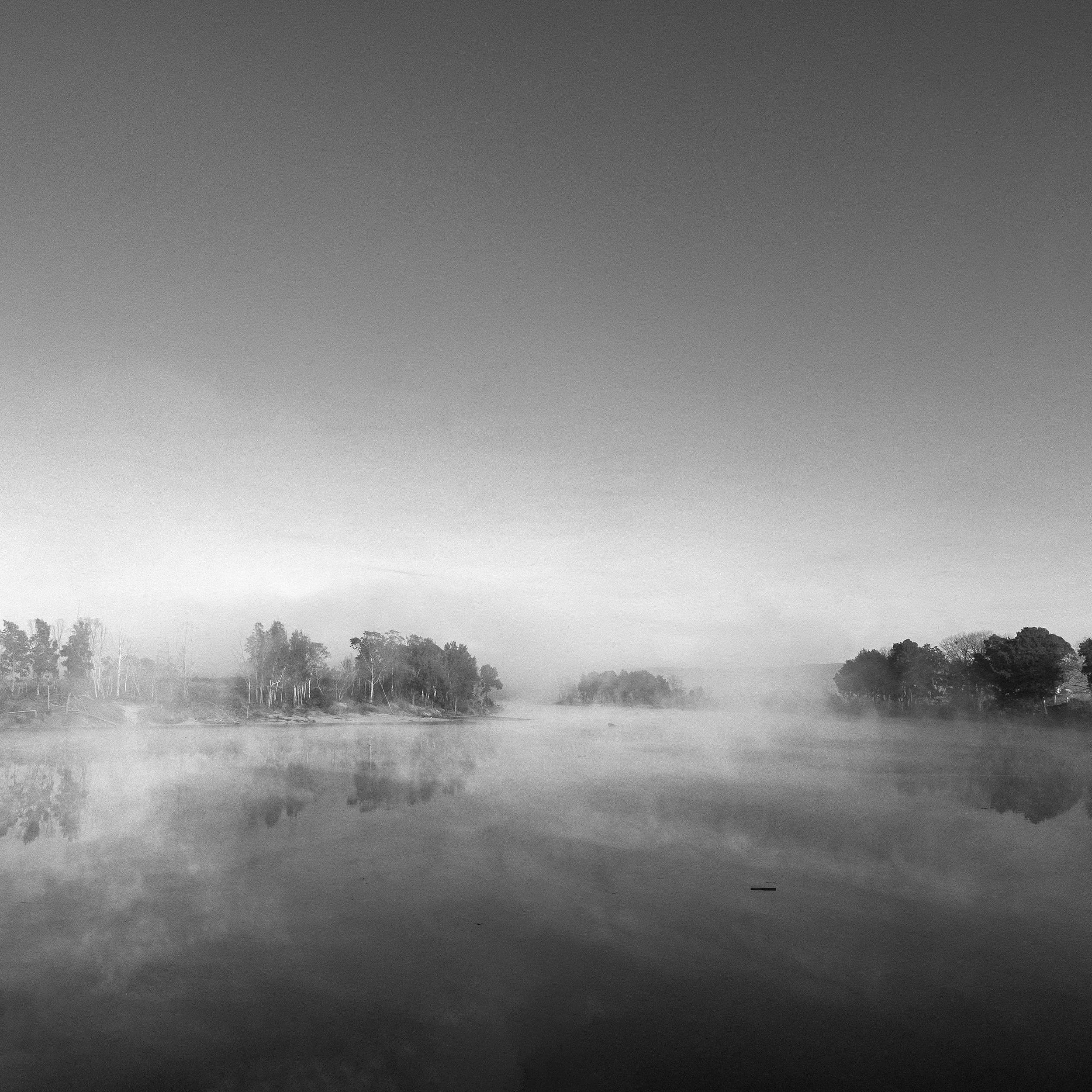 DSC05301 copy.jpg