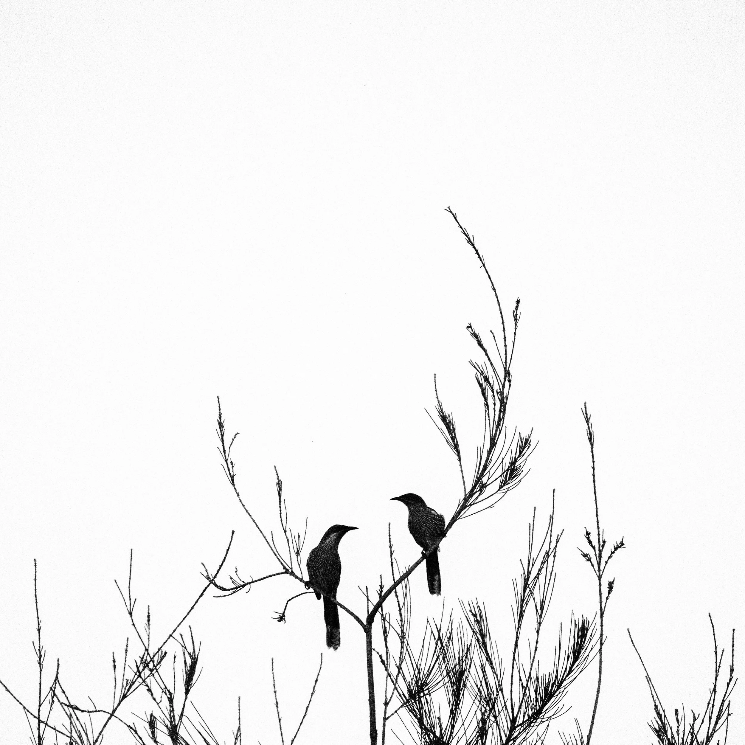 DSC03126 copy.jpg