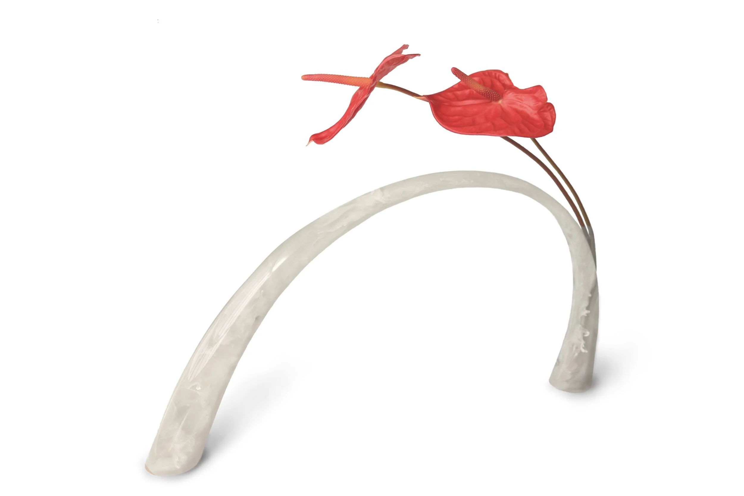 D3F97377-3E97-45B5-A88E-EFE71090AF9A