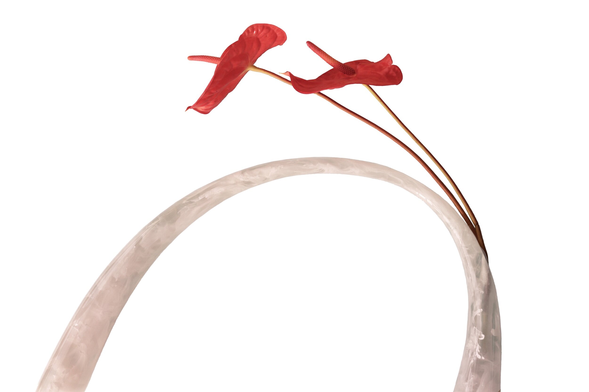 CE8DFFBD-7398-4670-BB61-11607D78125E