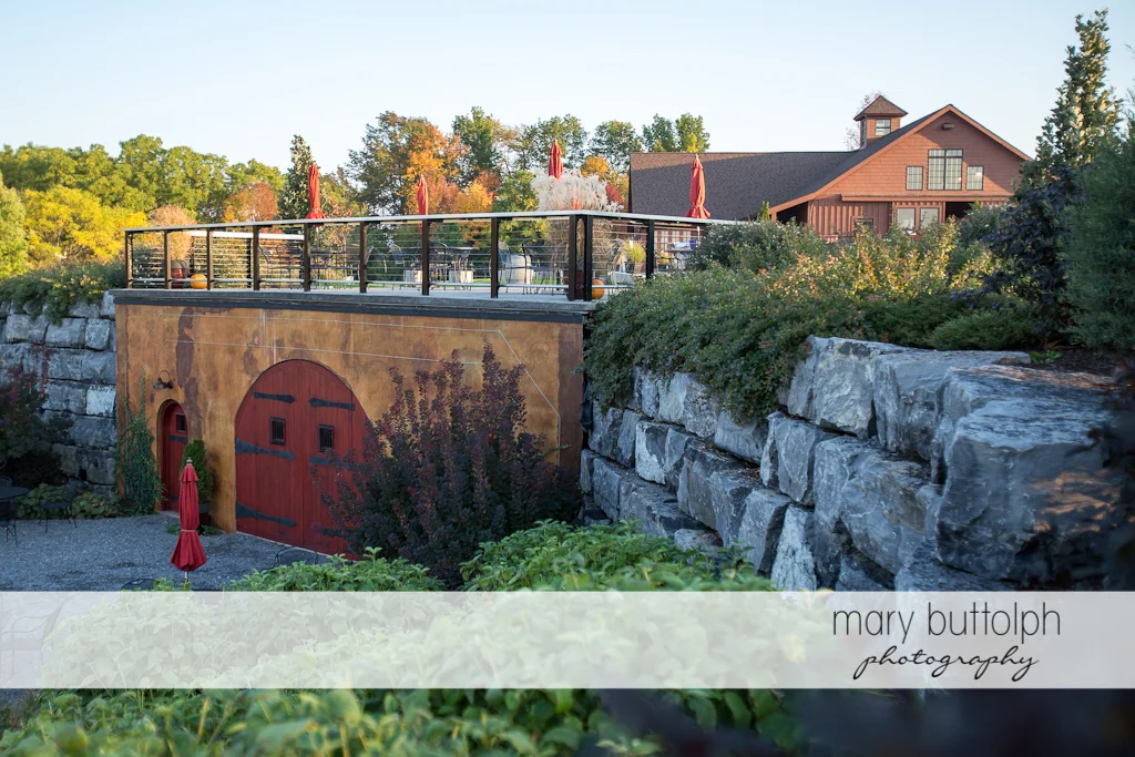 Anyela's Vineyard Wedding