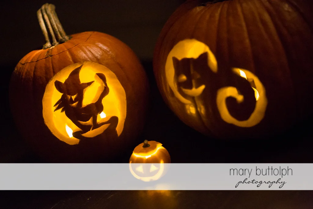Carved pumpkins ready for Halloween at Skaneateles
