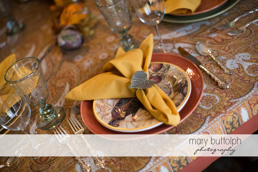 Mary Buttolph Photography © 2012