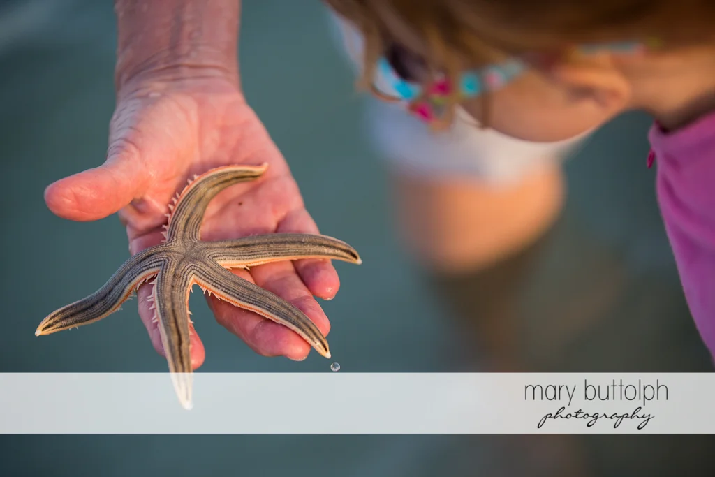 Girls examines the starfish a man caught on the beach at Sanibel Island Vacation