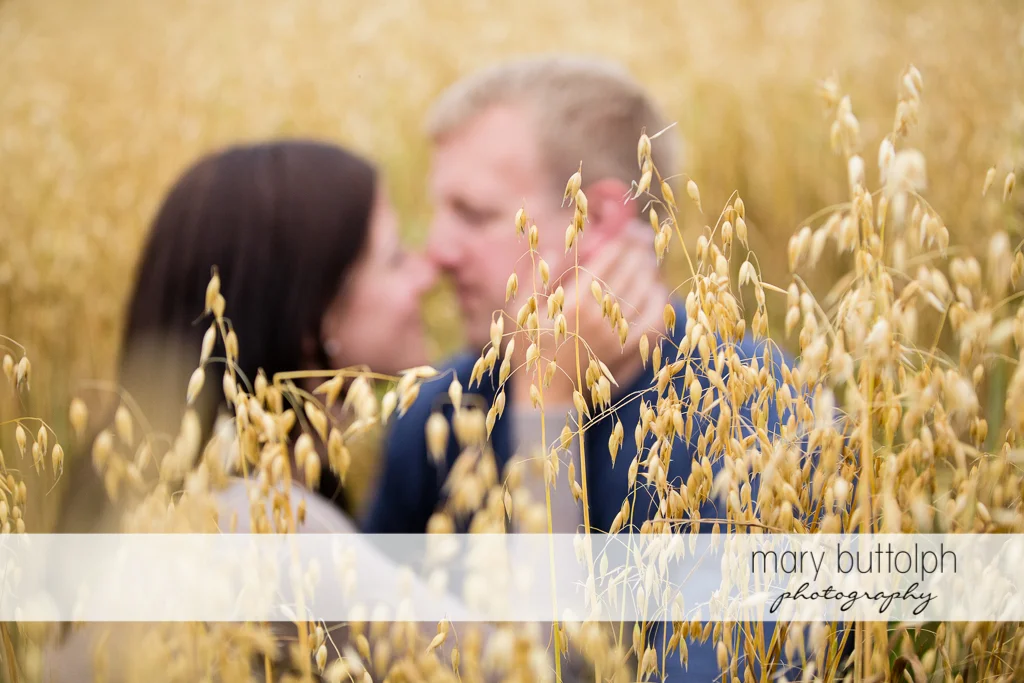 Couple share a romantic moment in the field at Skaneateles Farm Engagement