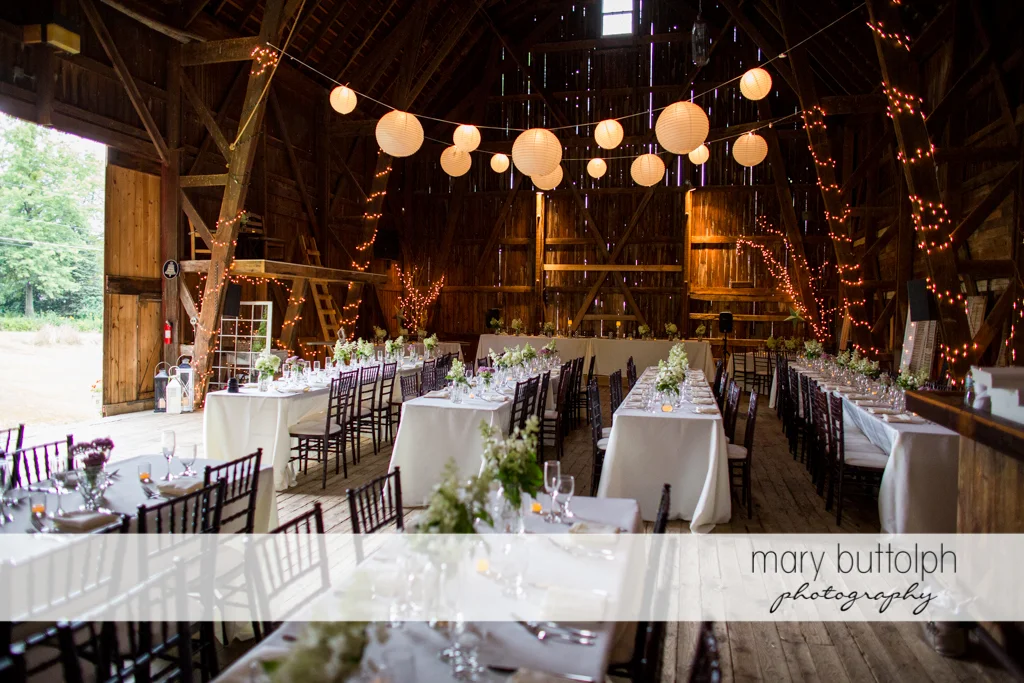 Mary Buttolph Photography
