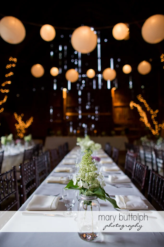 Mary Buttolph Photography