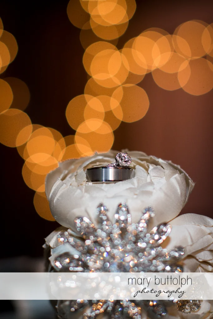 Mary Buttolph Photography