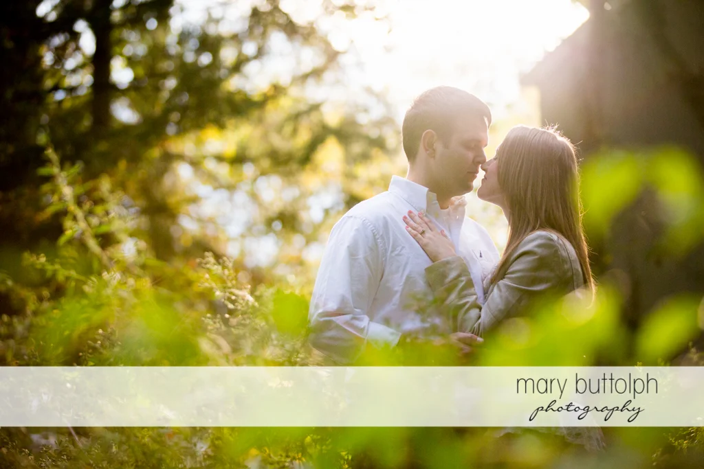 Couple show their affection in the woods at Skaneateles Engagement