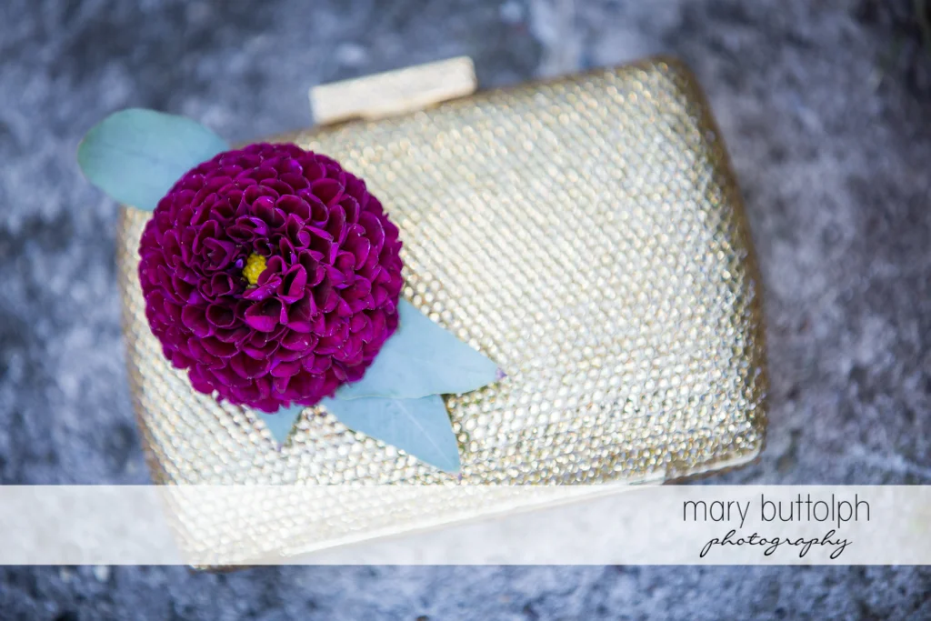Mary Buttolph Photography
