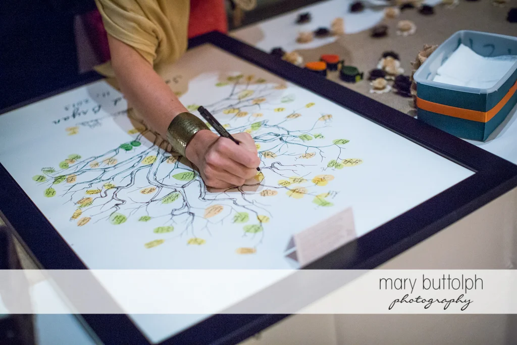 Mary Buttolph Photography