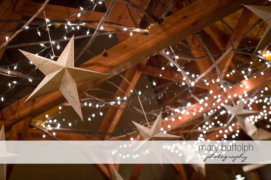 Mary Buttolph Photography