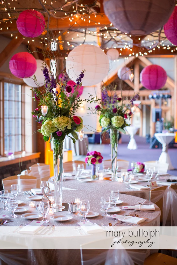 Mary Buttolph Photography
