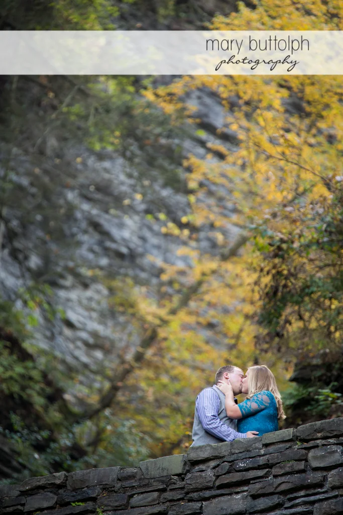 Couple show their love in the gorge at Watkins Glen Engagement