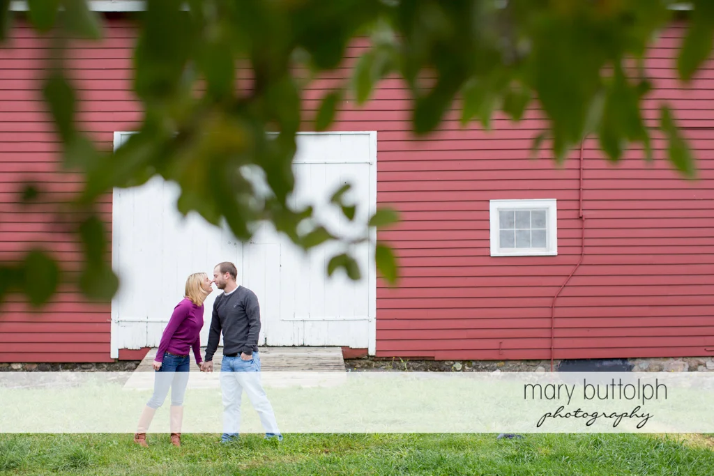 Couple rub noses in front of a barn at Beak & Skiff Apple Orchards Engagement