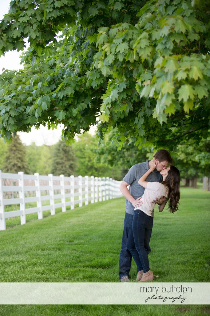 Couple kiss under a tree in the garden at Skaneateles Engagement
