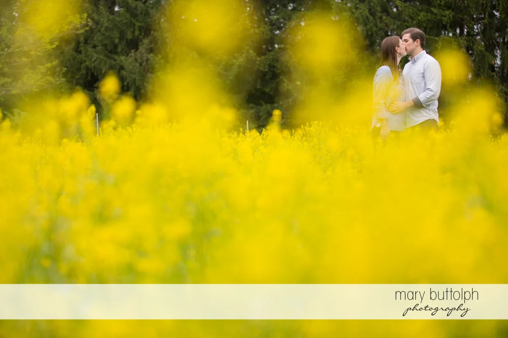 Couple kiss in the garden at the Hamilton Inn Engagement