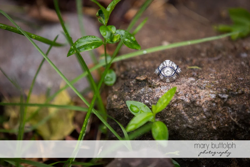 Woman's engagement ring rests on a rock at the Hamilton Inn Engagement