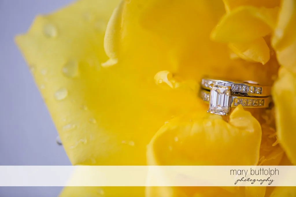 Couple's wedding rings in a yellow flower at Emerson Park Pavilion Wedding