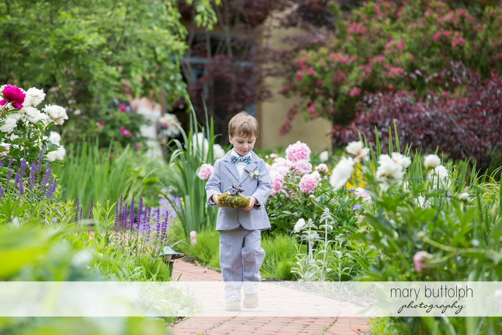 The ring bearer in the garden at the Mirbeau Inn & Spa Wedding