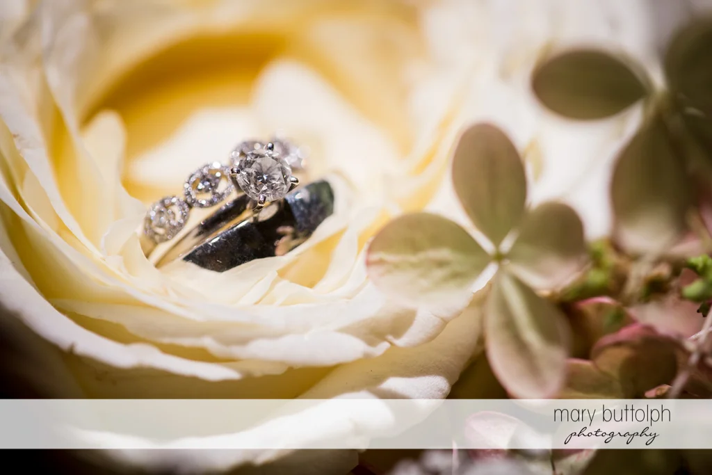 Close up shot of the couple's wedding rings on a flower at the Inns of Aurora Wedding