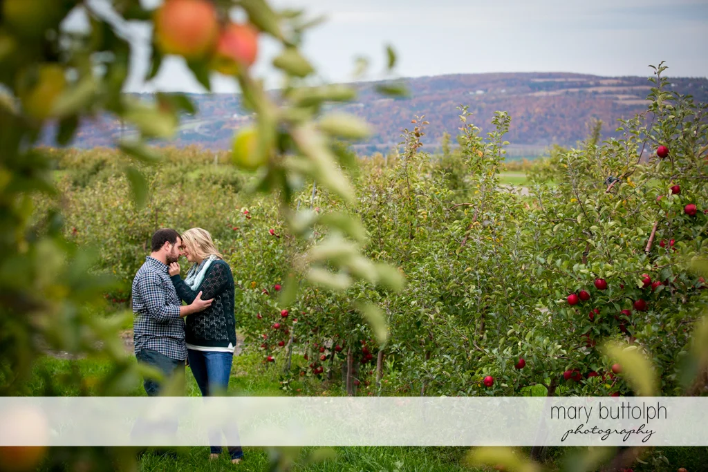 Couple share a tender moment in a garden full of apples at Beak & Skiff Apple Orchards Engagement