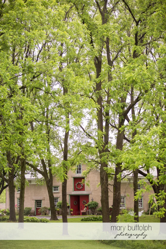 The wedding venue at the Frog Pond Bed & Breakfast Wedding