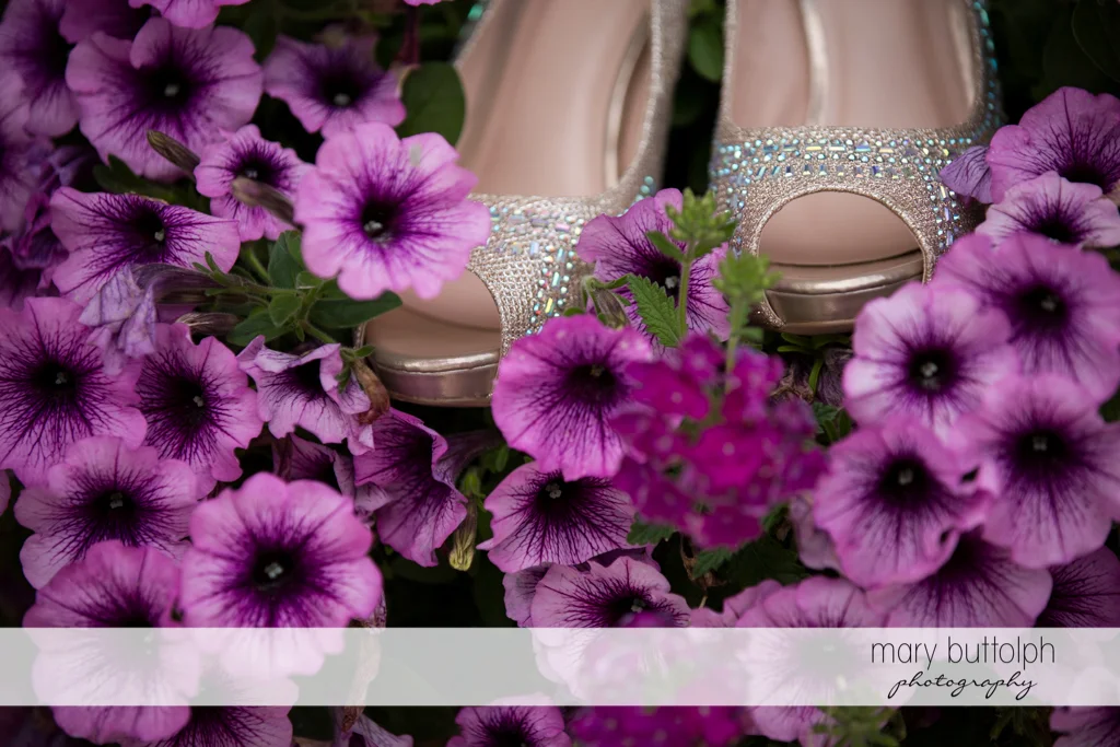 The bride's wedding shoes on top of lavender flowers at the Lodge at Welch Allyn Wedding