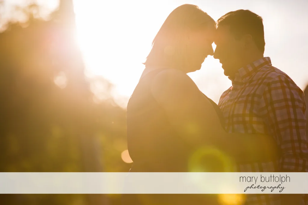 Couple view the sunset in the park at Skaneateles Lake Engagement