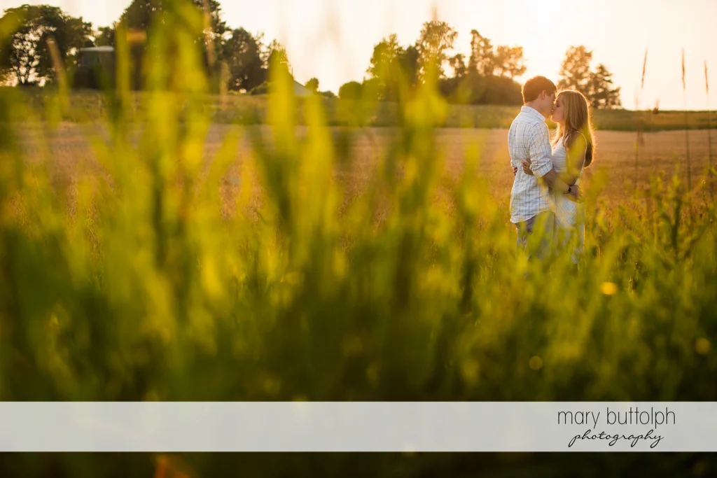 Couple kiss in the background beneath the sun at Skaneateles Engagement