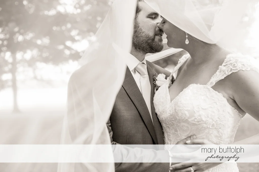 Couple kiss under the wedding veil at Emerson Park Pavilion Wedding