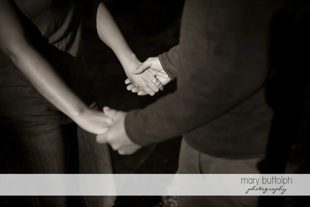 Couple hold hands at Marcellus Engagement