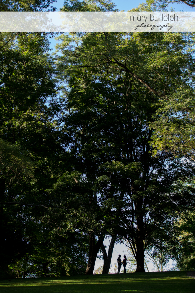 Couple find love amidst nature at Marcellus Engagement