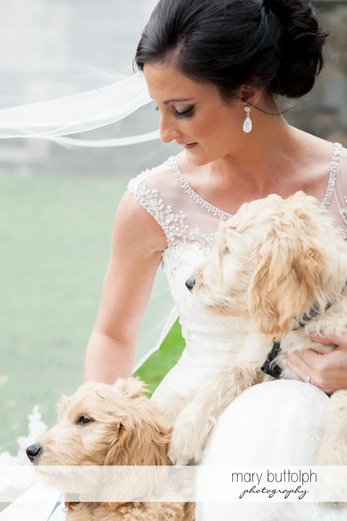 Bride shares the spotlight with her pet dogs at Anyela's Vineyards Wedding