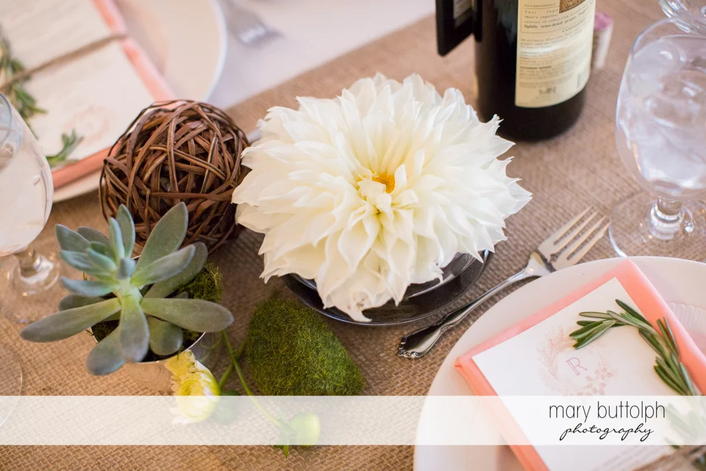 Succulent plant and flower bring nature to the table at the Frog Pond Bed & Breakfast Wedding