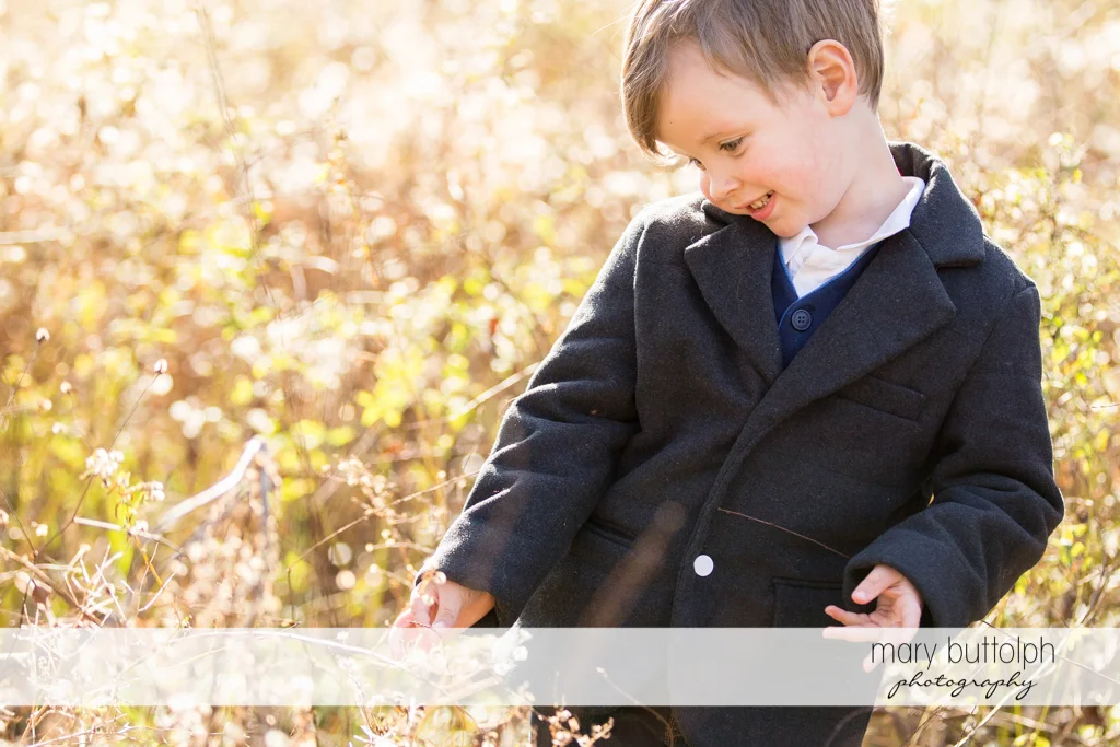 Boy examines a plant in the backyard at Skaneateles