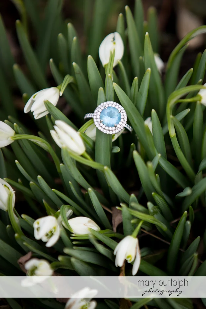 Woman's engagement ring among the flowers at Skaneateles Engagement