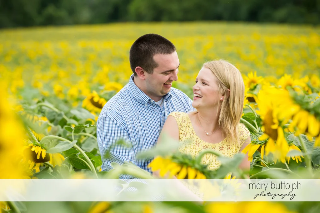 Couple find love in a sunflower garden at Syracuse Engagement