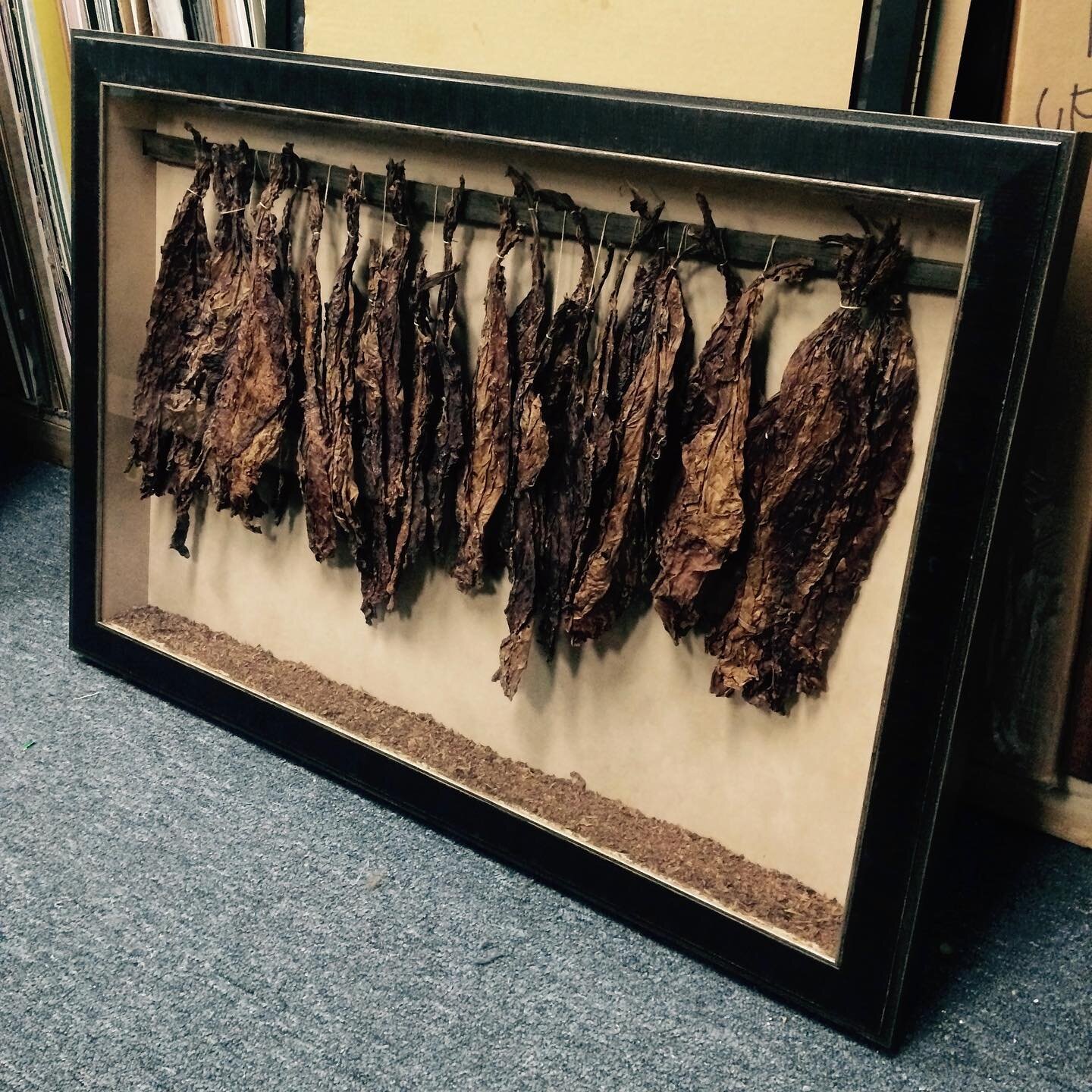 A client brought in dried tobacco, from an old barn, that was taken down from their family property. In memory of the tobacco farm, we custom framed the delicate leaves, hanging from a piece of wood salvaged from the barn itself. We created a shadowb
