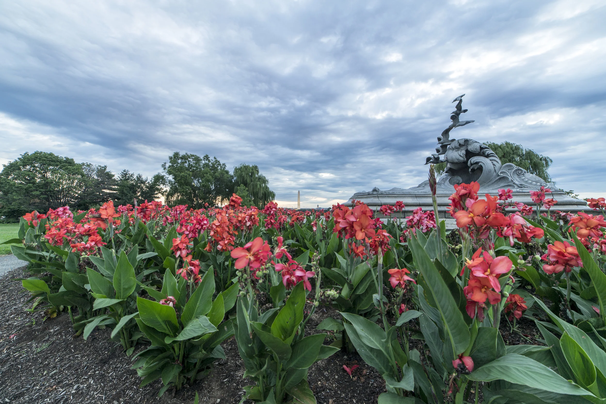 Are those flowers dying? - Title: Monumental Sadness With Epic Clouds