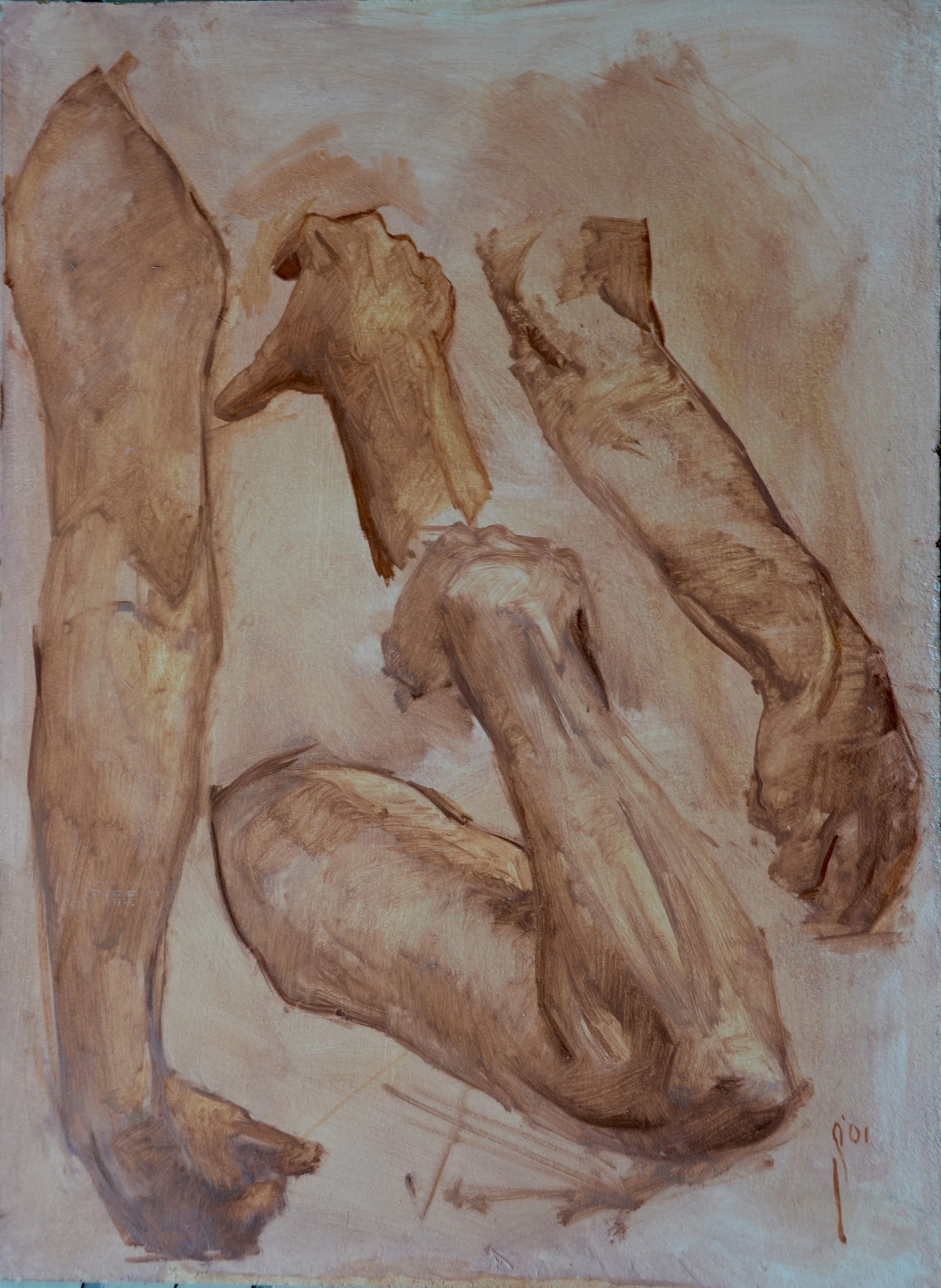 Arm studies