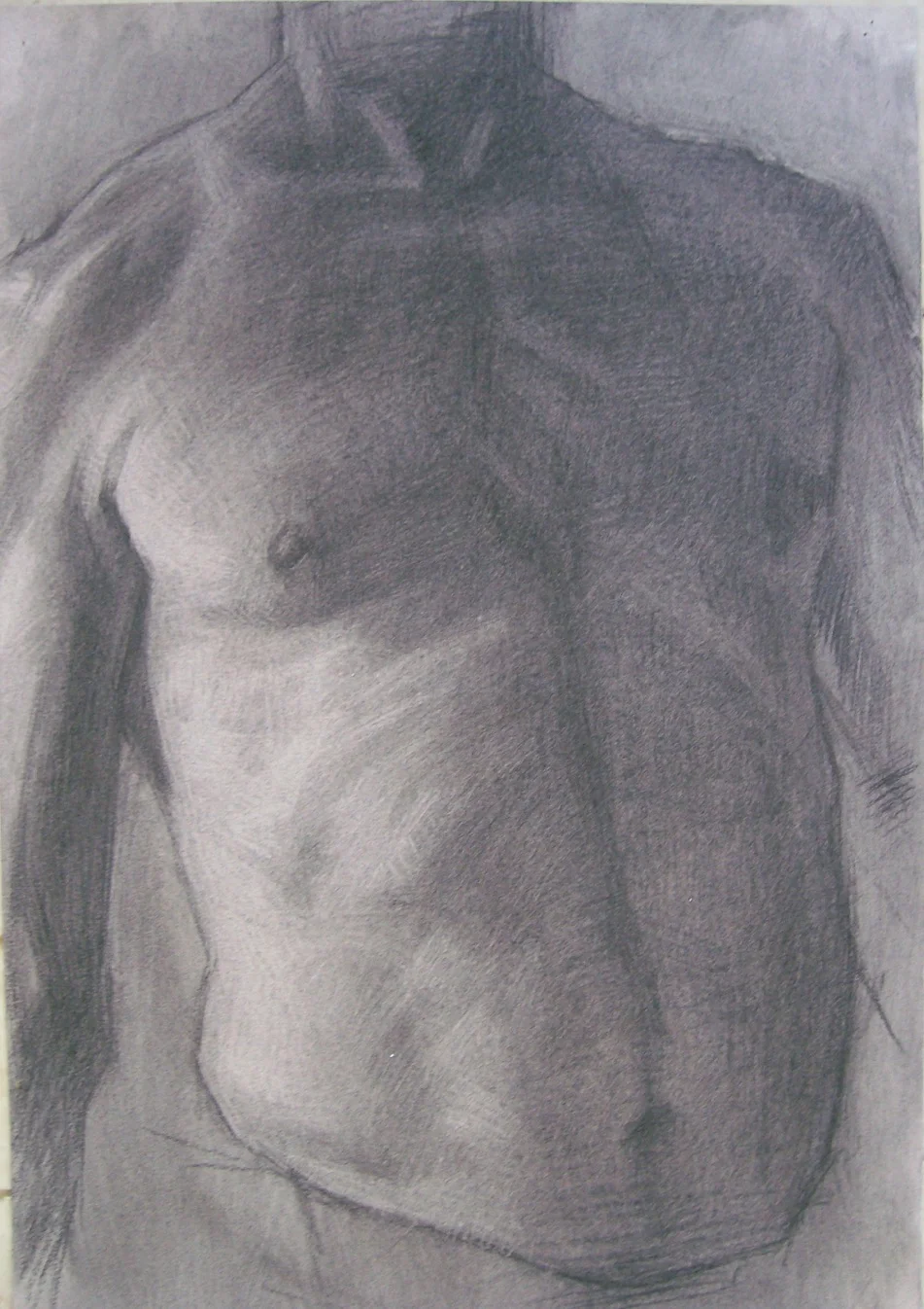 Torso