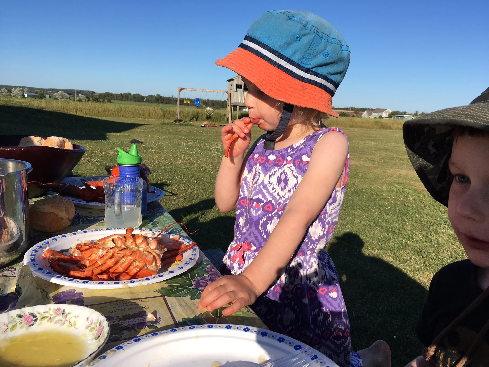 Lobster legs in an idyllic setting