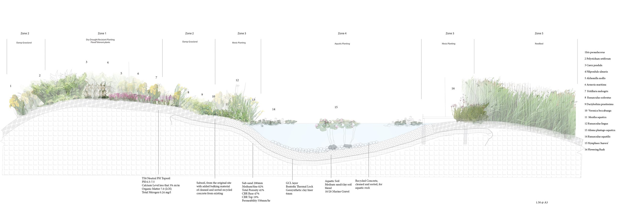 planting section for Duncan - Karen Dear.jpg