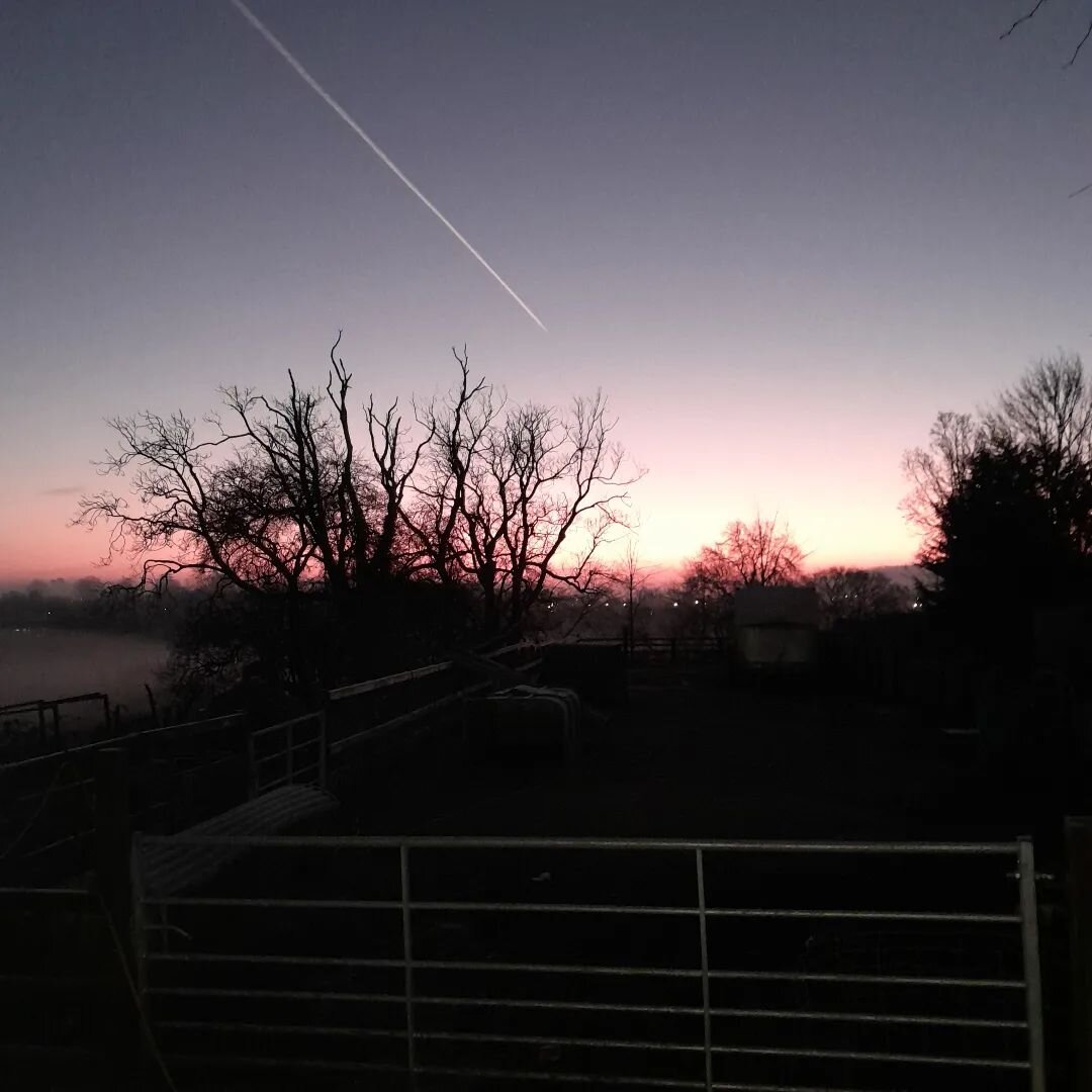 Cracking sunrise this morning at pentwyn Farm #wintersunraise #early raiser #farminglife #feedingup #checkingthepigs #welshwintermorning