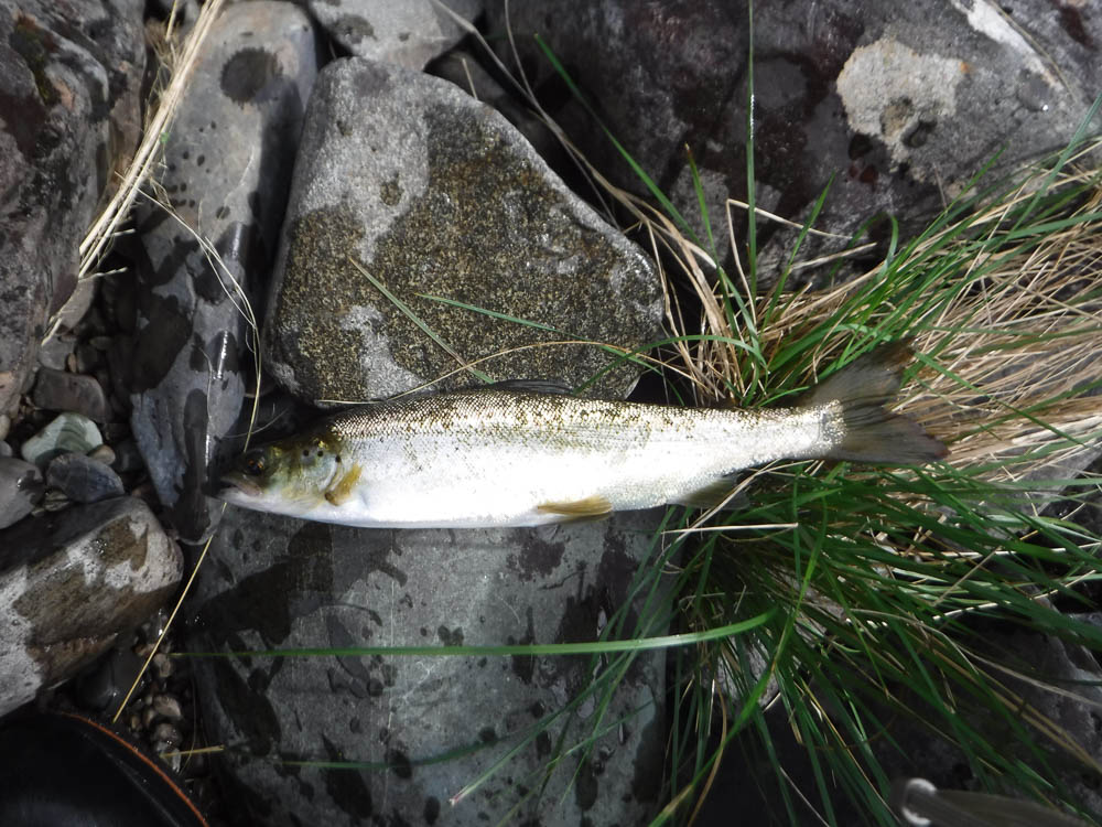 20160919-DSCF3828.jpg