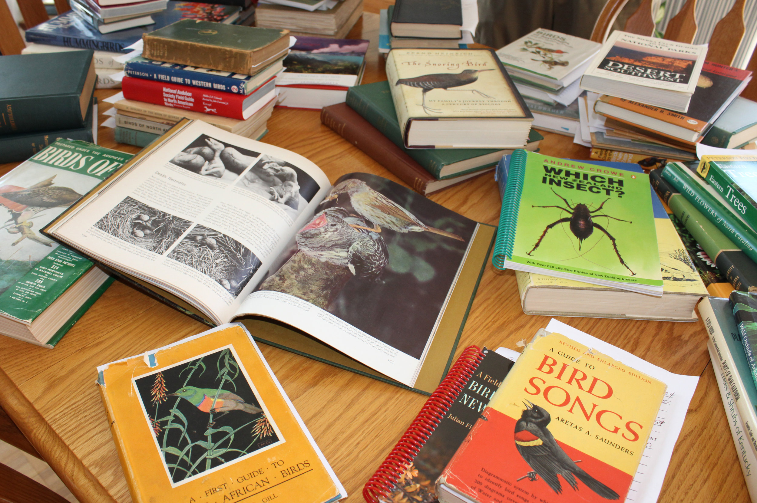 Over 150 books available for Silent Auction.