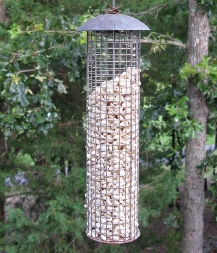 Large Mesh Feeder filled with peanuts. 
