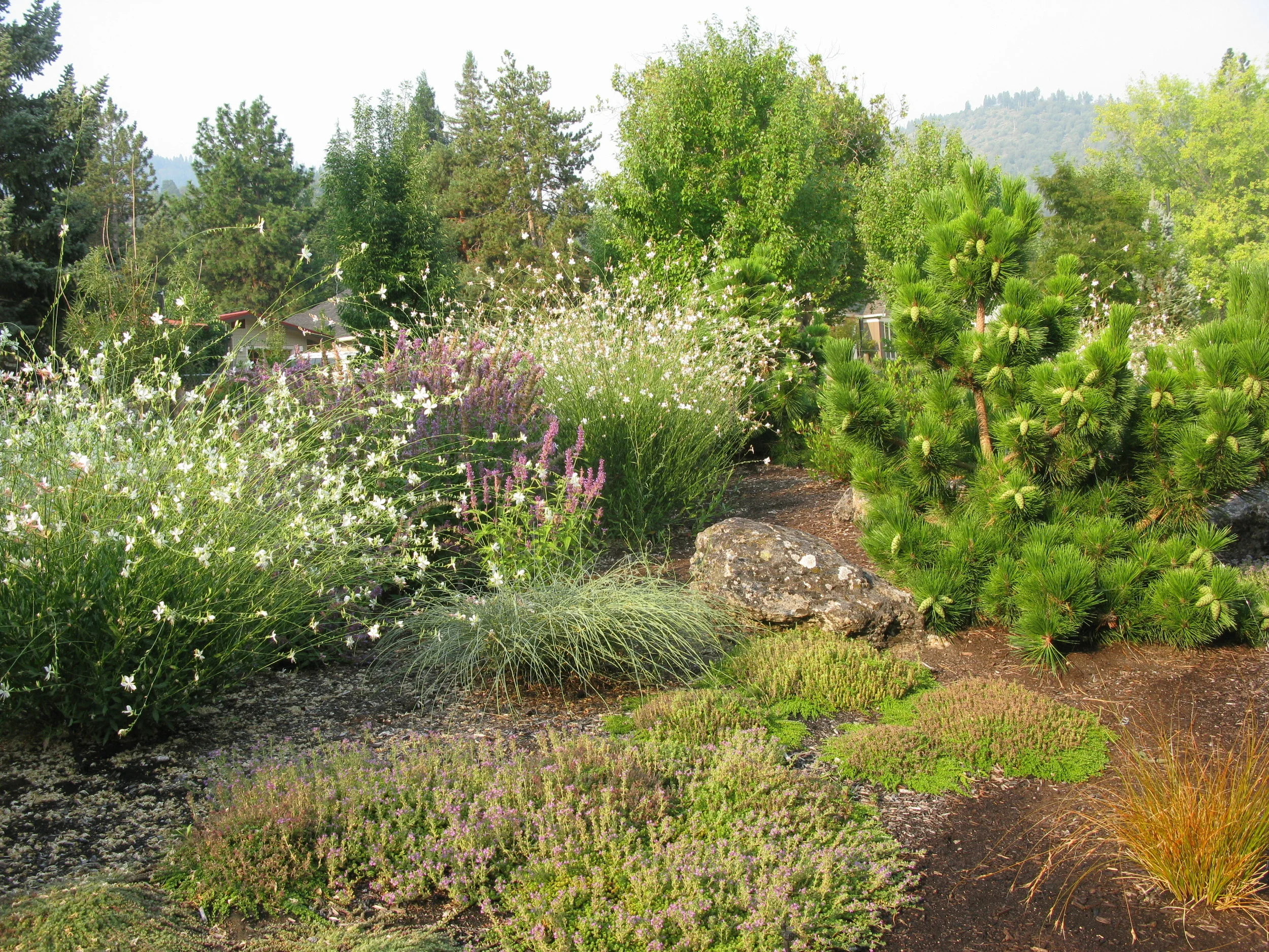 Reduce Lawn.jpg
